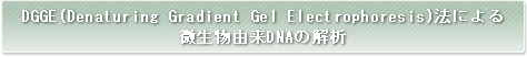 DGGE(Denaturing Gradient Gel Electrophoresis)@ɂRDNẢ