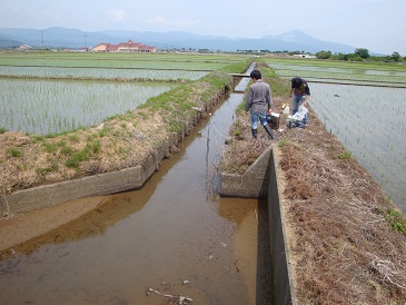 琵琶湖